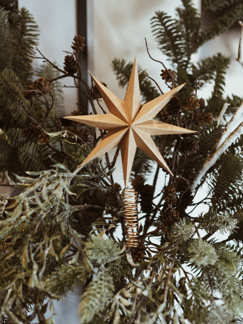 Natural Star Tree Topper