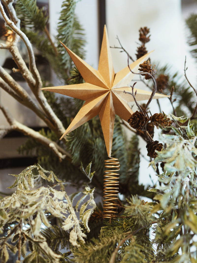 Natural Star Tree Topper